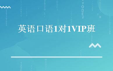 英语口语1对1VIP班 
