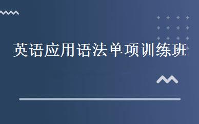 英语应用语法单项训练班 
