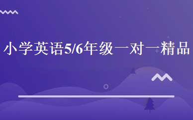 小学英语5/6年级一对一精品班 