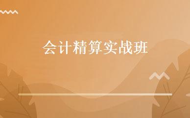 会计精算实战班 