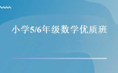 小学5/6年级数学优质班