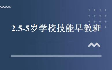 2.5-5岁学校技能早教班 