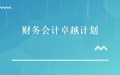 财务会计卓越计划 