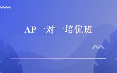 AP一对一培优班 