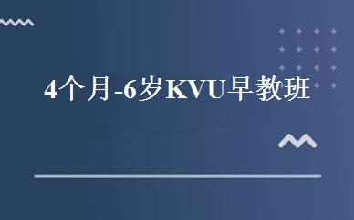 4个月-6岁KVU早教班 