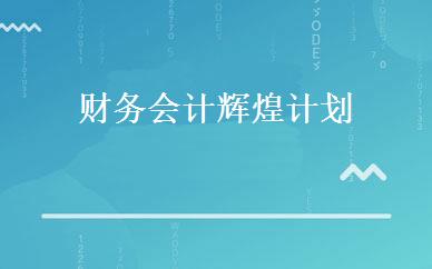 财务会计辉煌计划 