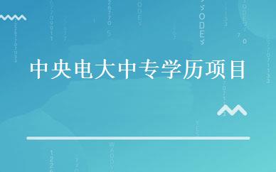 中央电大中专学历项目 