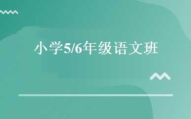 小学5/6年级语文班