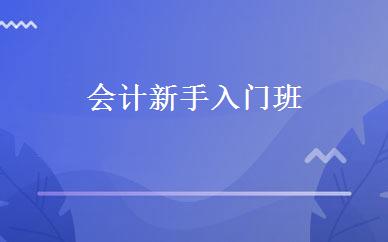 会计新手入门班 
