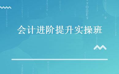 会计进阶提升实操班 