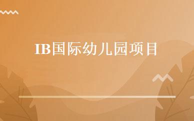 IB国际幼儿园项目 
