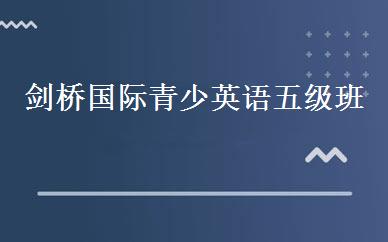 剑桥国际青少英语五级班 