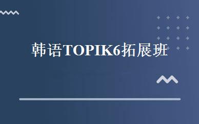 韩语TOPIK6拓展班 