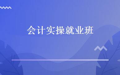 会计实操就业班 