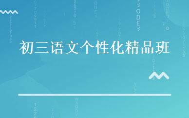 初三语文个性化精品班 