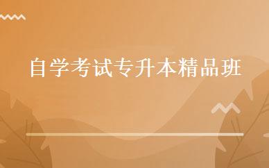 自学考试专升本精品班 
