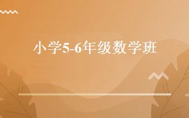 小学5-6年级数学班 