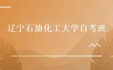 辽宁石油化工大学自考班 