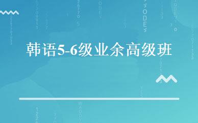 韩语5-6级业余高级班 