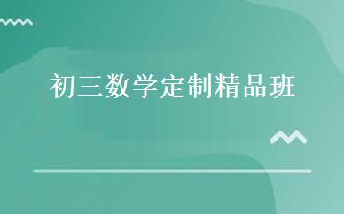 初三数学定制精品班 