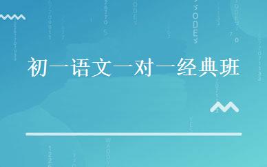 初一语文一对一经典班