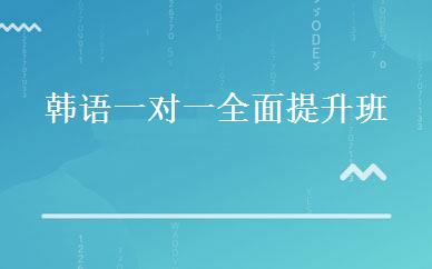 韩语一对一全面提升班 