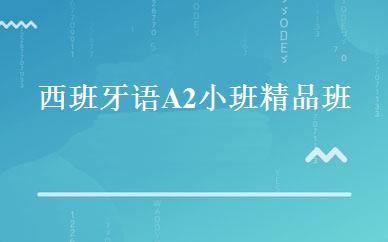 西班牙语A2小班精品班 