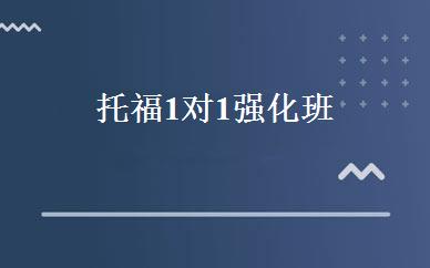托福1对1强化班 