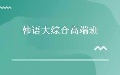 韩语大综合高端班 