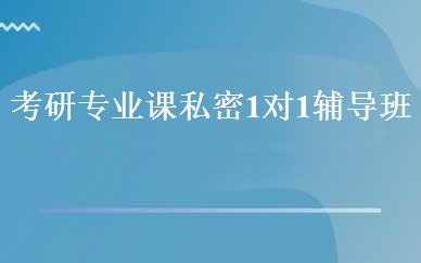 考研专业课私密1对1辅导班  
