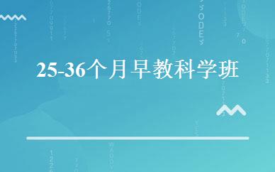 25-36个月早教科学班 
