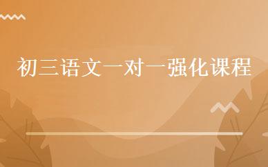 初三语文一对一强化课程 