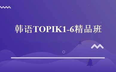 韩语TOPIK1-6精品班 