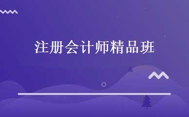 注册会计师精品班 