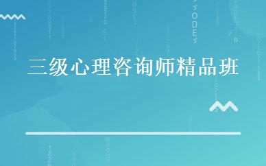 三级心理咨询师精品班 