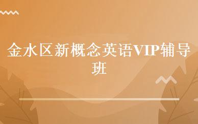 金水区新概念英语VIP辅导班