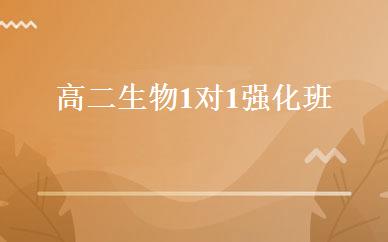 高二生物1对1强化班 