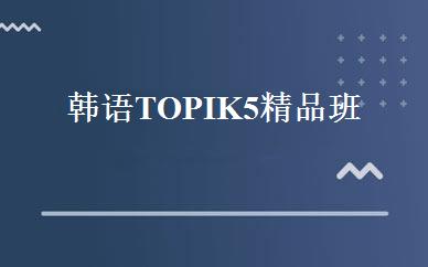 韩语TOPIK5精品班 