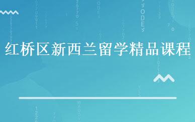 红桥区新西兰留学精品课程