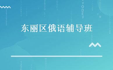 东丽区俄语辅导班