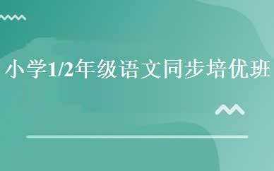 小学1/2年级语文同步培优班 