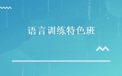 语言训练特色班  
