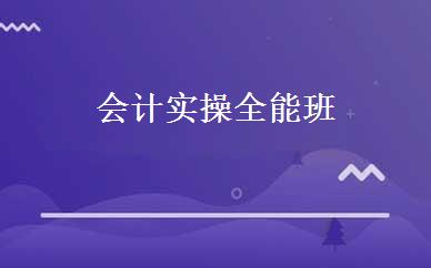 会计实操全能班 