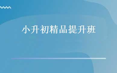 小升初精品提升班 