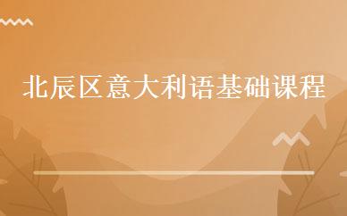 北辰区意大利语基础课程