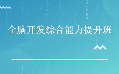 全脑开发综合能力提升班 