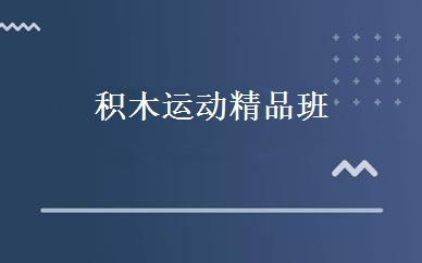 积木运动精品班 