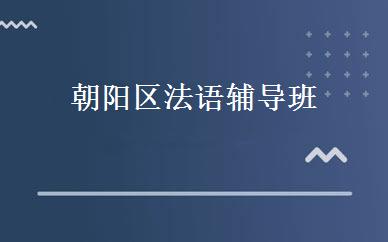 朝阳区法语辅导班