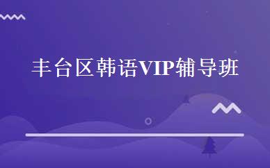 丰台区韩语VIP辅导班