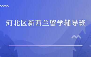 河北区新西兰留学辅导班